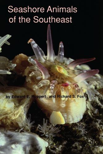 Seashore Animals of the South-east