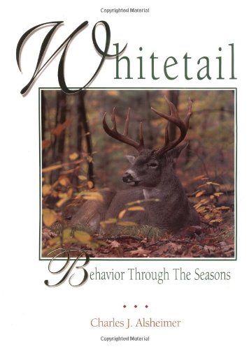 Whitetail