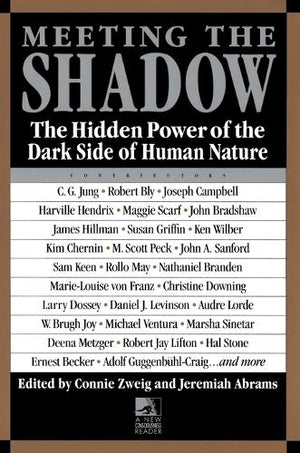 Meeting the Shadow
