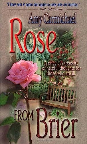 Rose From Brier