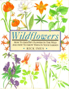 Wildflowers 