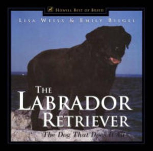 The Labrador Retriever