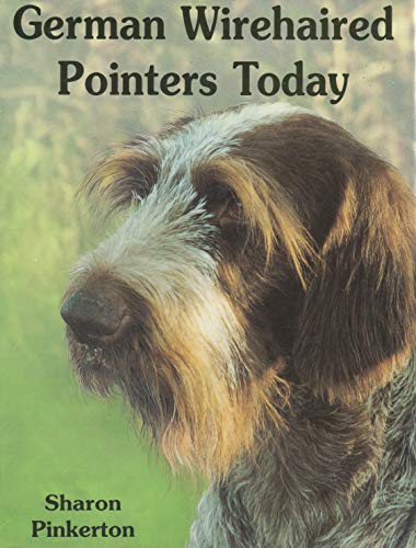 German Wirehaired Pointers Today