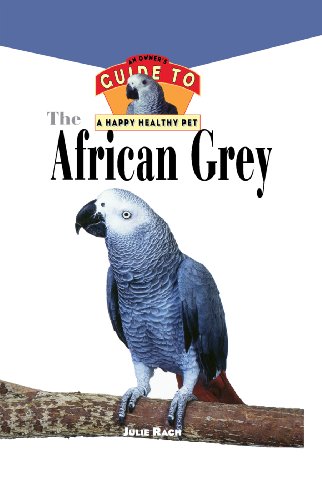 Hhp: African Grey