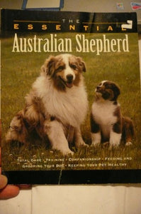 The Australian Shepherd 
