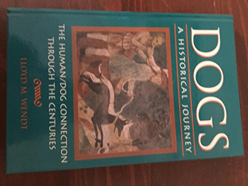 Doors: a Historical Journey