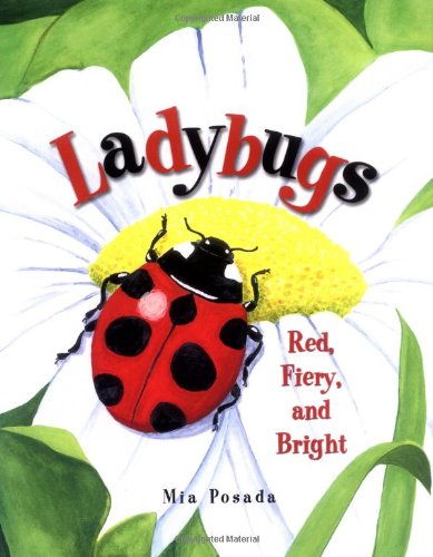 Ladybugs