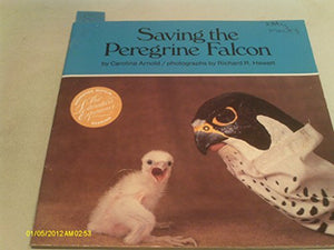 Saving the Peregrine Falcon