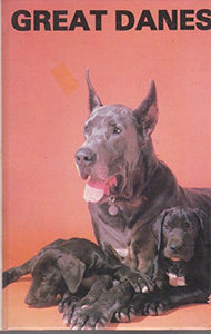 Great Danes 