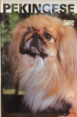 Pekingese