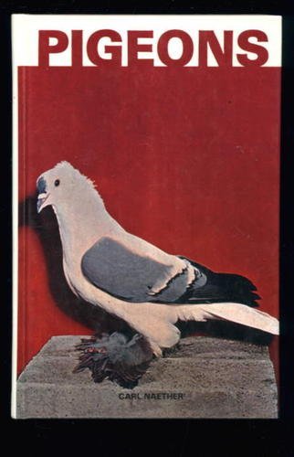 Pigeons