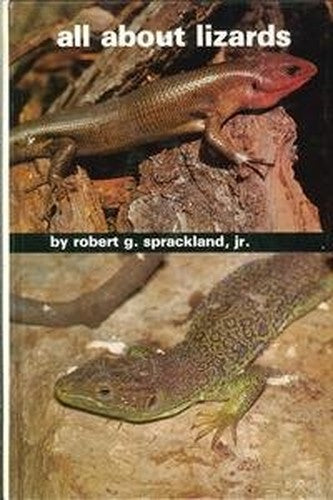 All About Lizards
