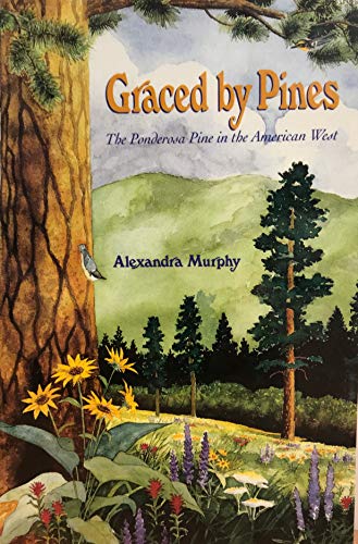 Graced by Pines