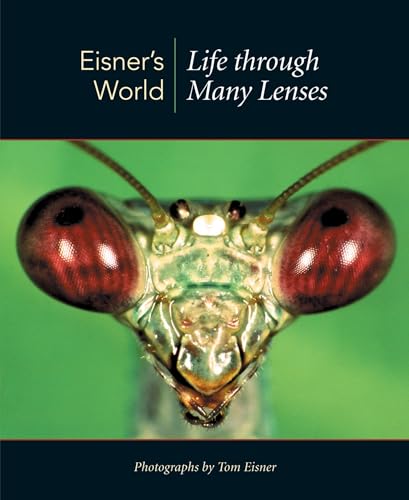 Eisner's World