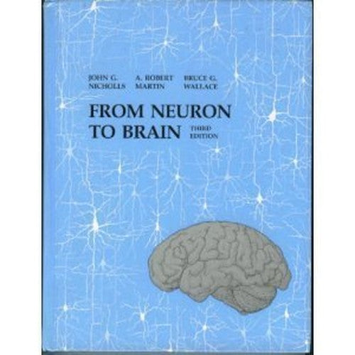 From Neuron to Brain