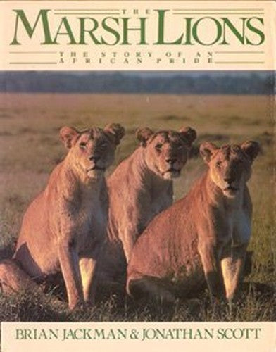 The Marsh Lions