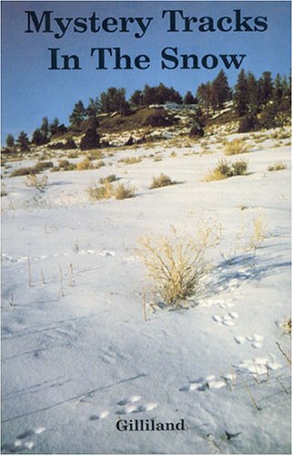 Mystery Tracks in the Snow