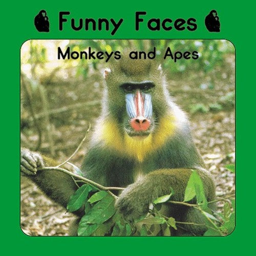 Funny Faces