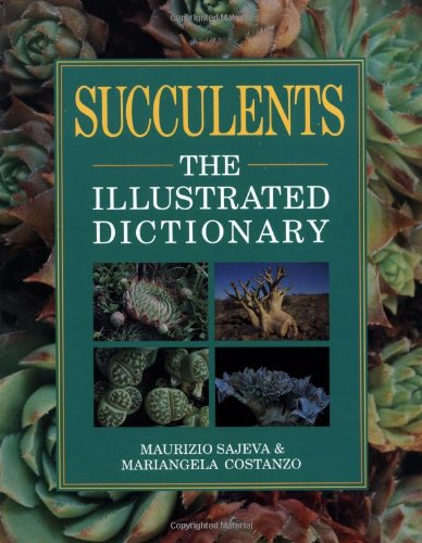 Succulents