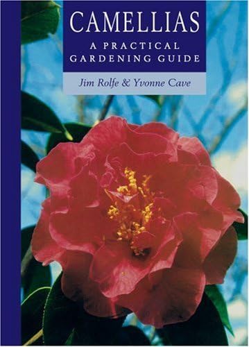 Camellias