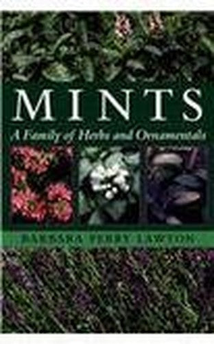 Mints