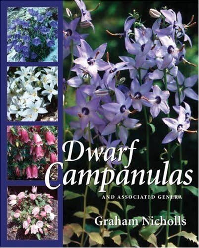 Dwarf Campanulas