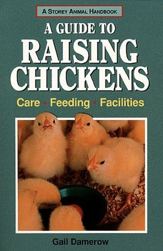 A Guide to Raising Chickens
