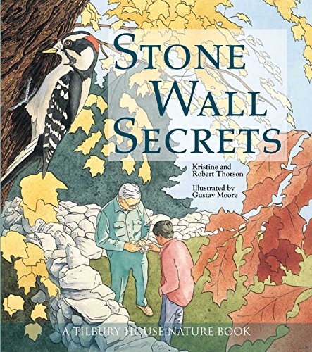 Stone Wall Secrets (Tilbury House Nature Book)