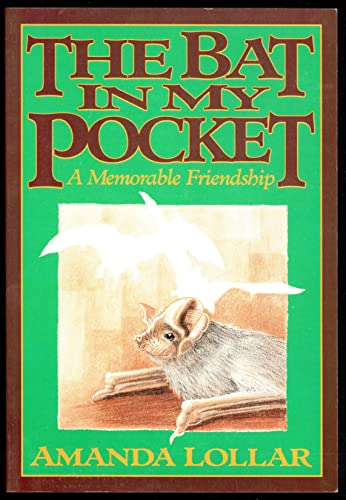 The Bat in My Pocket