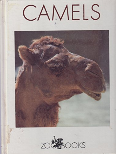 Camels