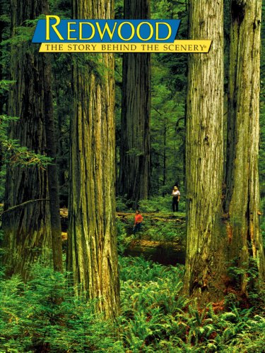Redwood