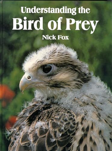 Understanding the Bird of Prey