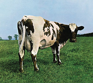 Atom Heart Mother 