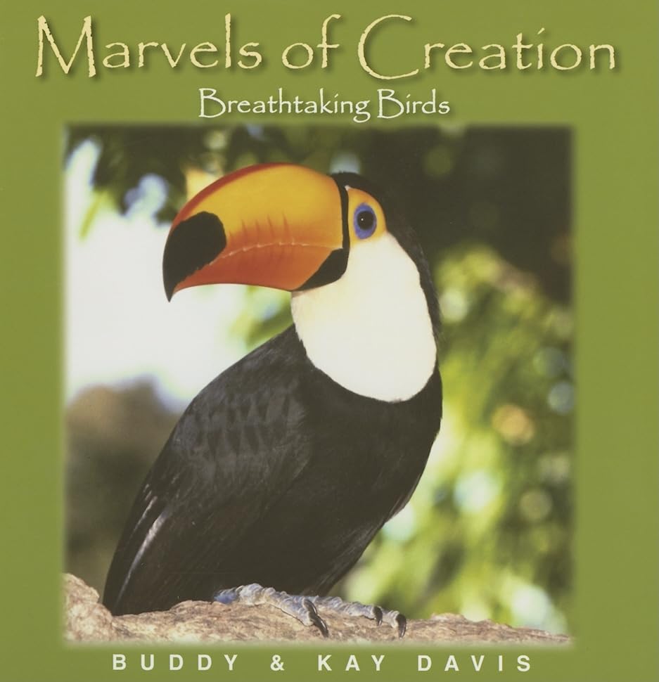 Marvels of Creation