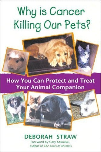 Why is Cancer Killing Our Pets?