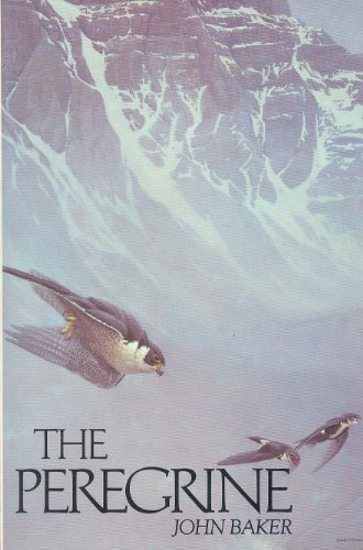 The Peregrine