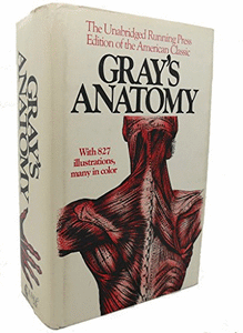 Gray's Anatomy 