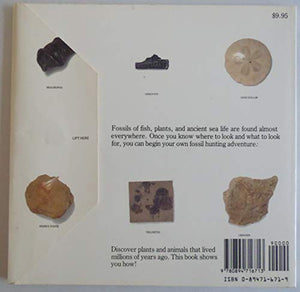 Start Collecting Fossils 