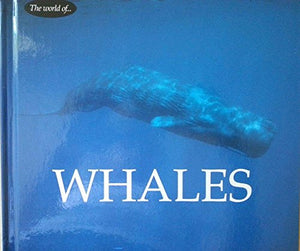 Whales 