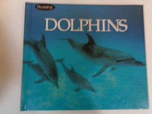 Dolphins 