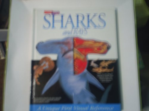 A Look inside Sharks and Rays