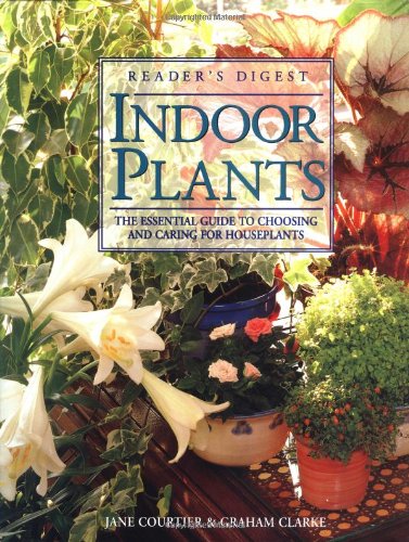 Indoor Plants