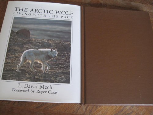 The Arctic Wolf