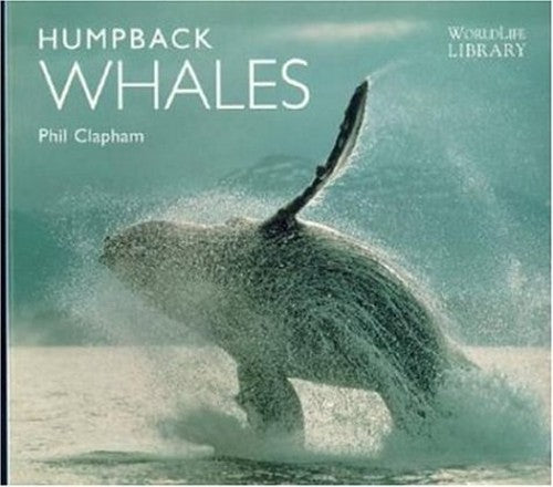 Humpback Whales