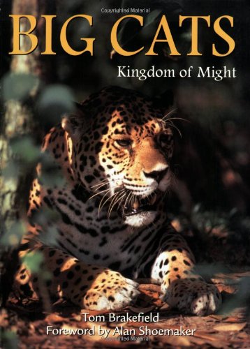 Big Cats