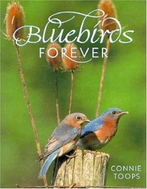 Bluebirds Forever