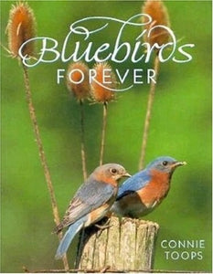 Bluebirds Forever 