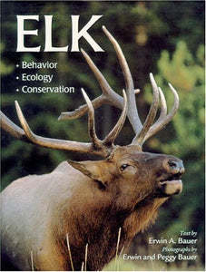 Elk 