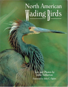 North American Wading Birds 
