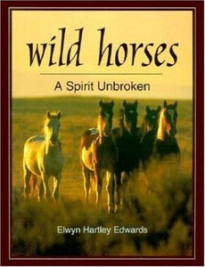 Wild Horses 